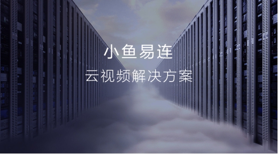 小鱼易连