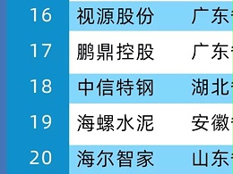 2020年中国制造业价值500强，MAXHUB母公司视源股份位居第16位
