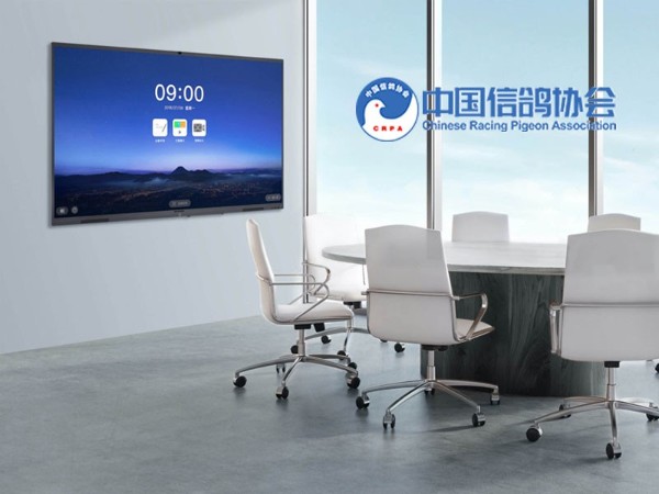 中国信鸽协会使用MAXHUB全球视频连线