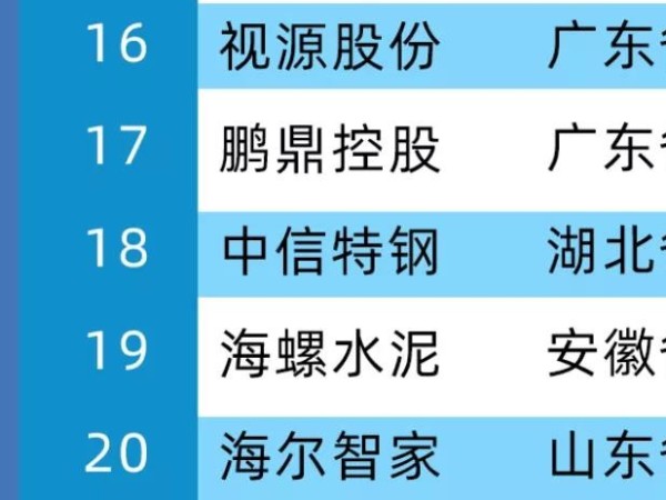 2020年中国制造业价值500强，MAXHUB母公司视源股份位居第16位